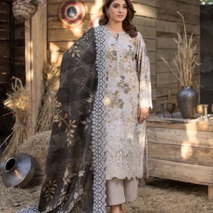 Tayyab a Pakistani dress