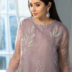 pakistani organza dress